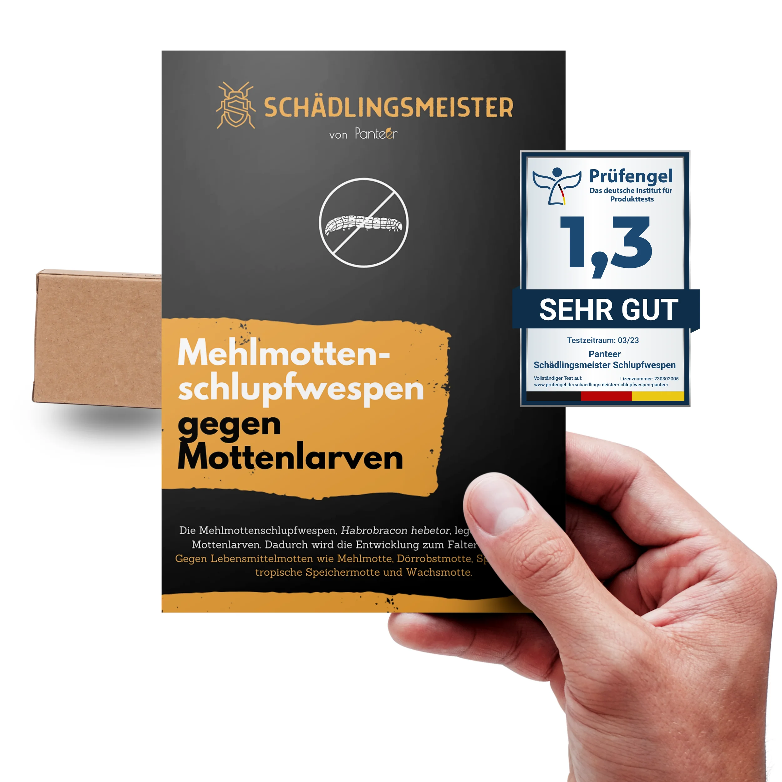 Bild von Mehlmottenschlupfwespen gegen Mottenlarven - 30 Nützlinge