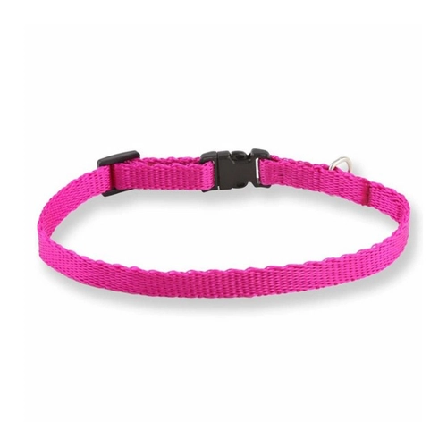 Bild von Stylisches Monkimau Hundehalsband für kleine Hunde