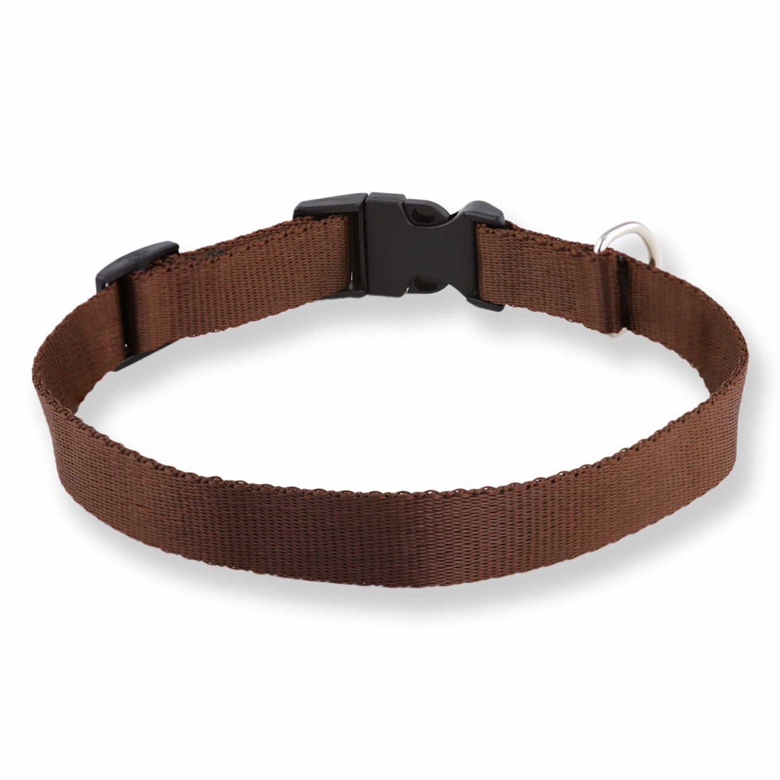 Bild von Hundehalsband aus Nylon