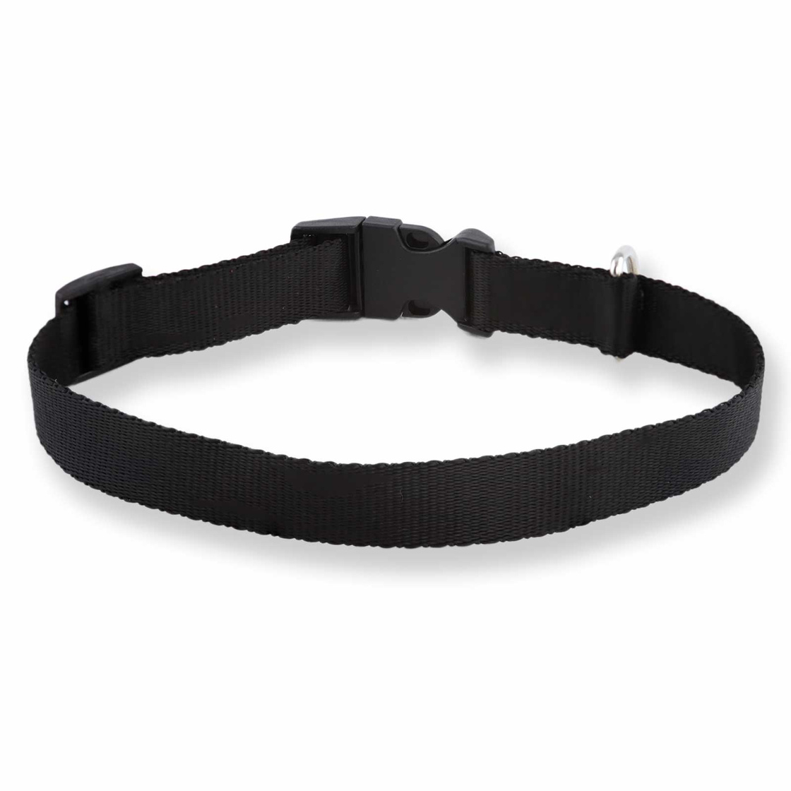 Bild von Hundehalsband aus Nylon