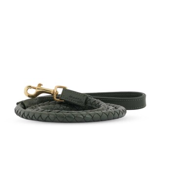 Bild von William Walker Hundeleine Twisted Dark Moss XXS-XS