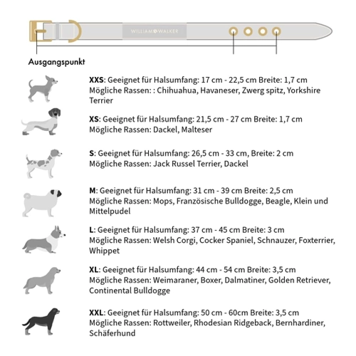 Bild von William Walker Exklusives Hundehalsband aus Premium Rindsleder - Stilvoll und Langlebig für Ihren Vierbeiner