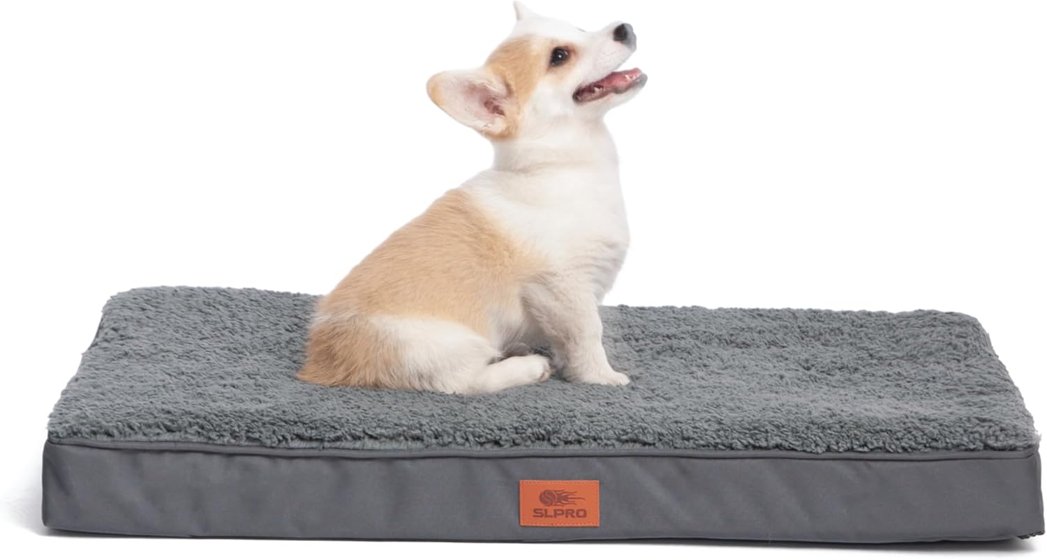 Bild von SLPRO Hundebett für kleine Hunde - orthopädisches Hundekissen - gemütlich und rutschfest für Ihren Hund - Hundesofa perfekt für Hunde wie Französische Bulldogge und Beagle bis 23kg 76 x 51 x 8cm