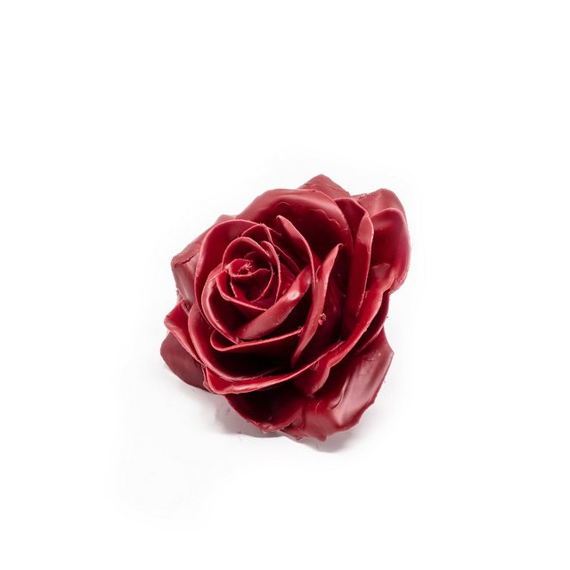 Bild von Trockenblume 10er-Set Wachsrose - Cherry Red, Primera, Höhe 20 cm