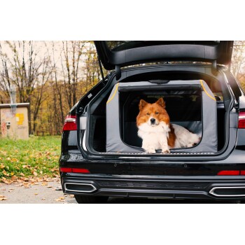 Bild von Knuffelwuff faltbare Hundebox Auto Transportbox Alverstone mit Aluminiumgestell für den Kofferraum M