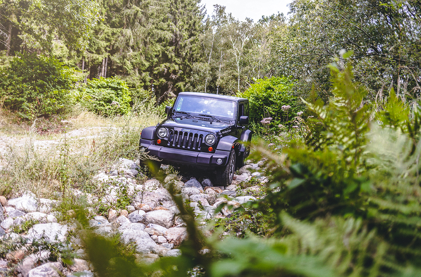 Bild von PKW Offroad Training Olpe (8 Std.)