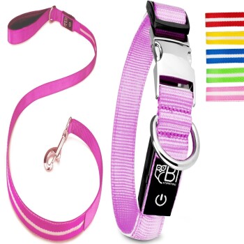 Bild von Petsation Leuchthalsband + Leine pink S