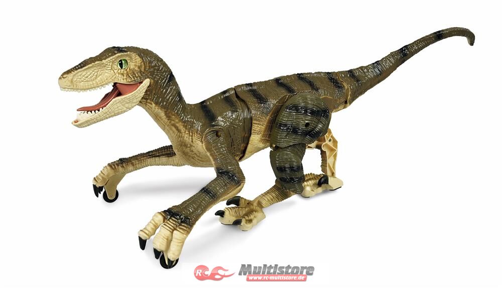 Bild von Amewi Rc Dinosaurier Velociraptor 2,4ghz Rtr, Braun (RTR Ready-to-Run)