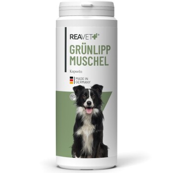 Bild von REAVET Grünlippmuschel Kapseln 100Stk