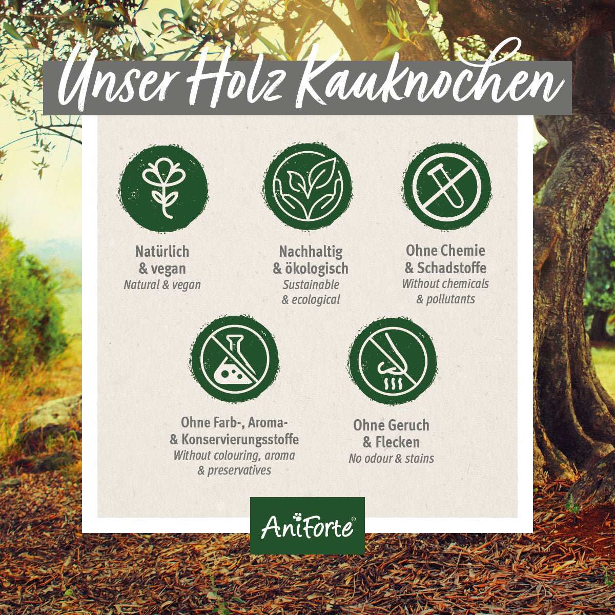 Bild von AniForte Olivenholz Kauknochen M