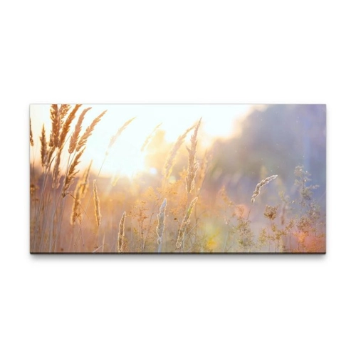Bild von Wandbild auf Leinwand – Frühling XXL 50x100cm