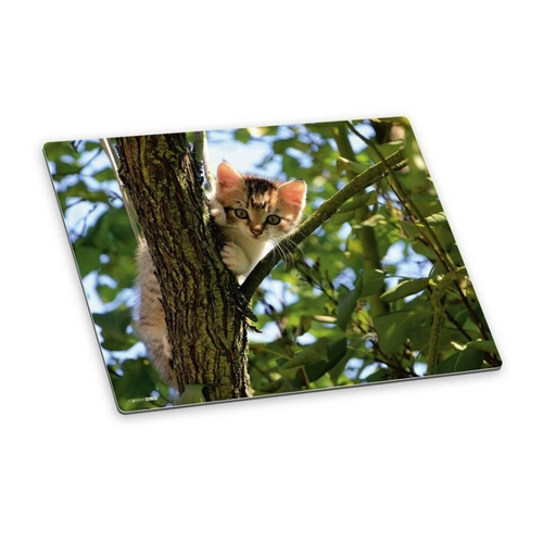 Bild von Stilvolle Schreibtischunterlage mit Katzenmotiv