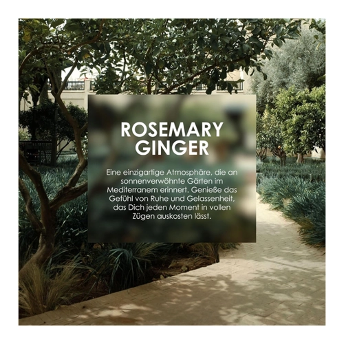 Bild von Jean & Len Hand & Body Cleanser Rosemary & Ginger