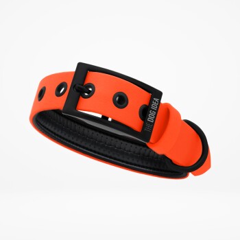 Bild von THE DOG IDEA Biothane Halsband Orange neon orange S