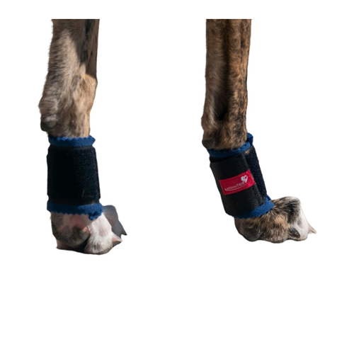 Bild von HerzensTier Krallenschutzbandage für Daumen- & Wolfskralle