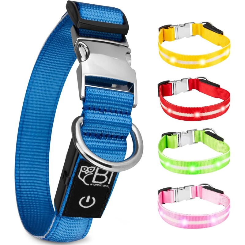 Bild von Petsation Leuchthalsband Hundehalsband blau L