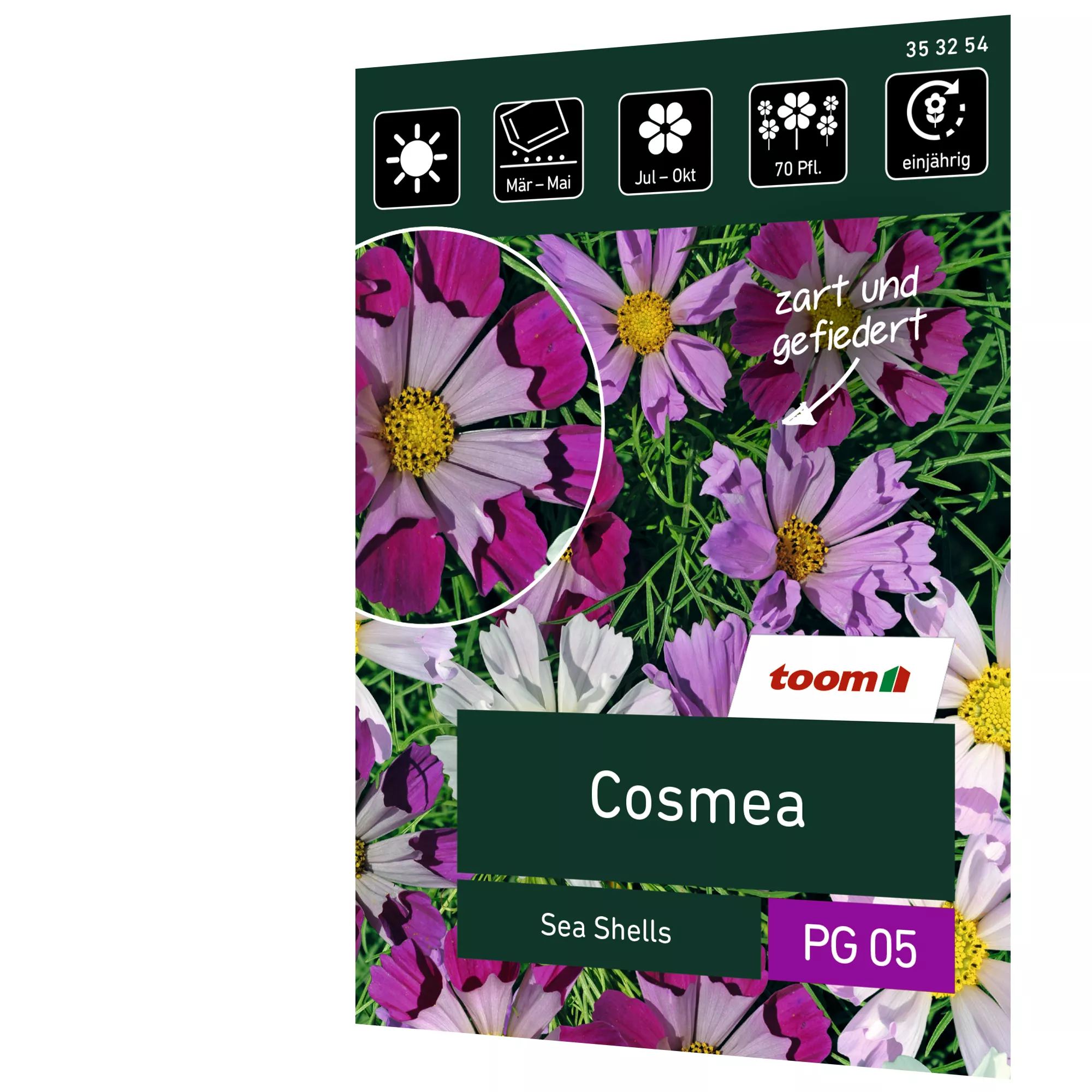 Bild von toom Cosmea 'Sea Shells'