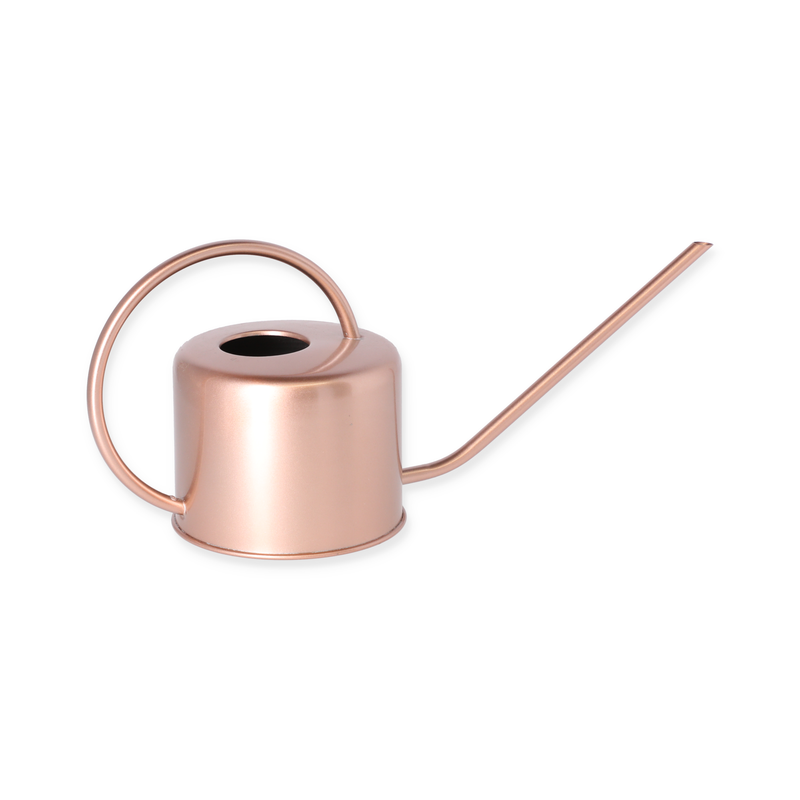 Bild von Gießkanne rosé 1 l