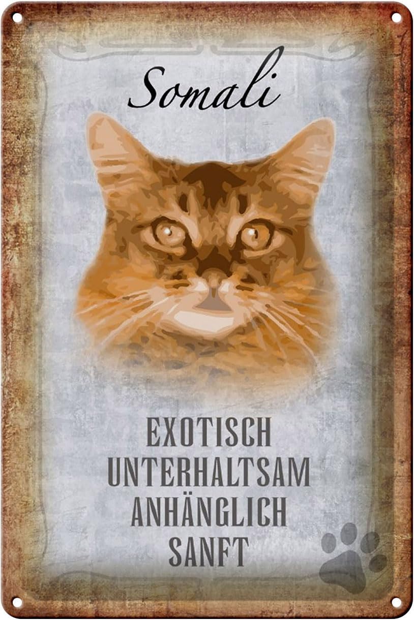 Bild von Schild Blech 20x30cm - Made in Germany - Spruch Somali Katze Metall Deko Schild