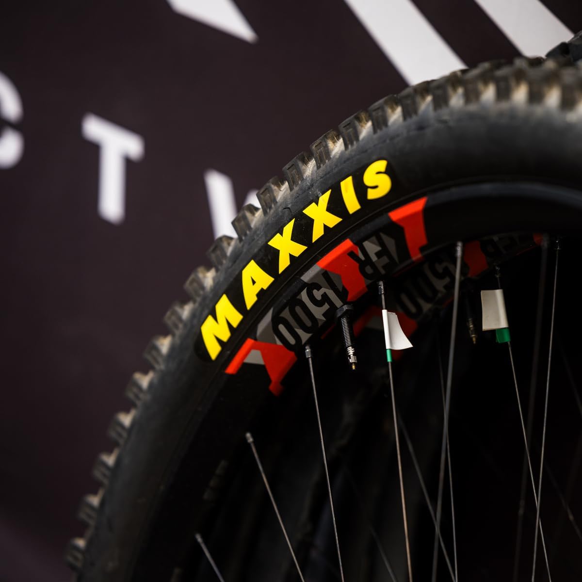 Bild von maxxis minion dhr ii 29   mtb reifen tubeless ready faltbar wide trail  wt  exo protection doubledown  dd  3c maxxterra
