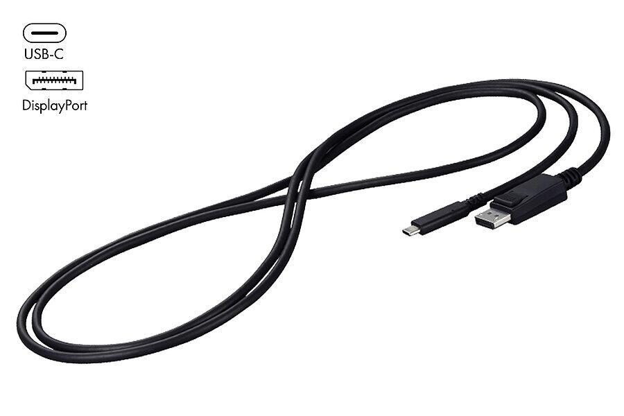 Bild von Eizo CP200 - Adapterkabel - USB-C (M) zu DisplayPort (M) - 2 m - Schwarz