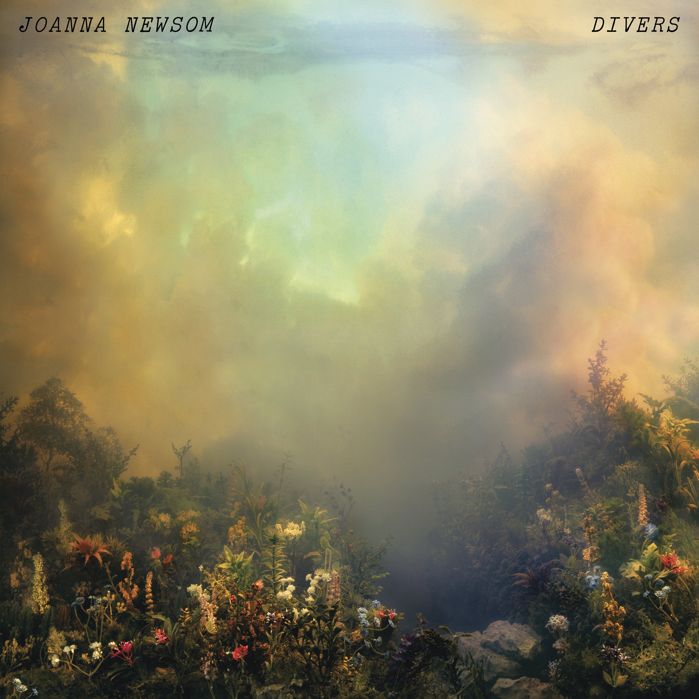 Bild von Joanna Newsom - Divers