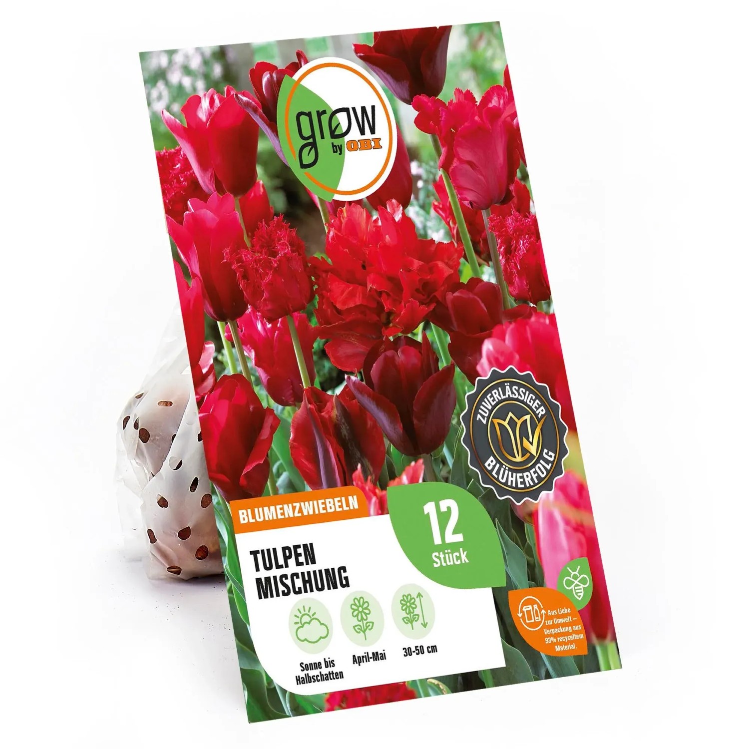 Bild von GROW by OBI Tulpen Mischung 4 Sorten 30 - 50 cm Tulipa