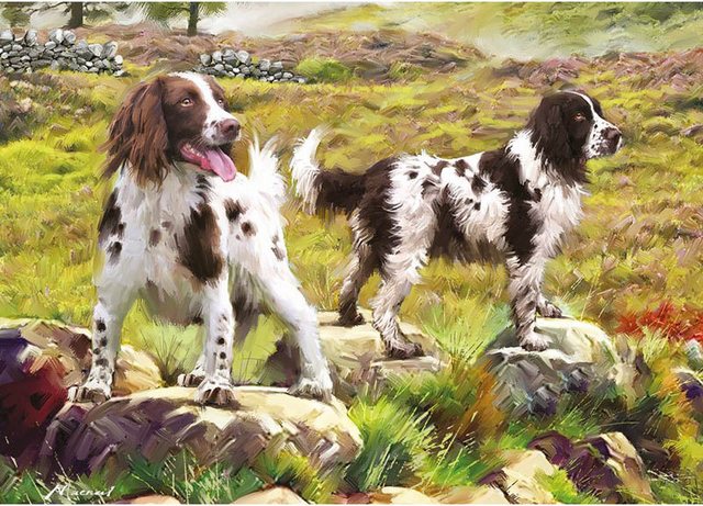 Bild von Otter House Puzzle Spaniel on Moor 1000 Teile Puzzle Otter-House-Puzzle-75804