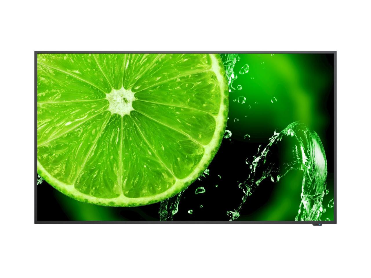 Bild von NEC 32 E Series large format display, FHD, 400cd/m2, Direct LED backlight, 16/7 proof, Media Player (60006113)