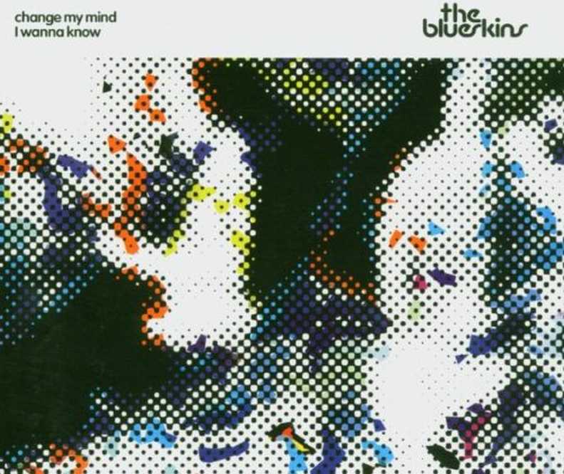 Bild von Blueskins the - Change My Mind