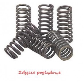 Bild von EBC Brakes CSK028 Kupplungsfedernsatz