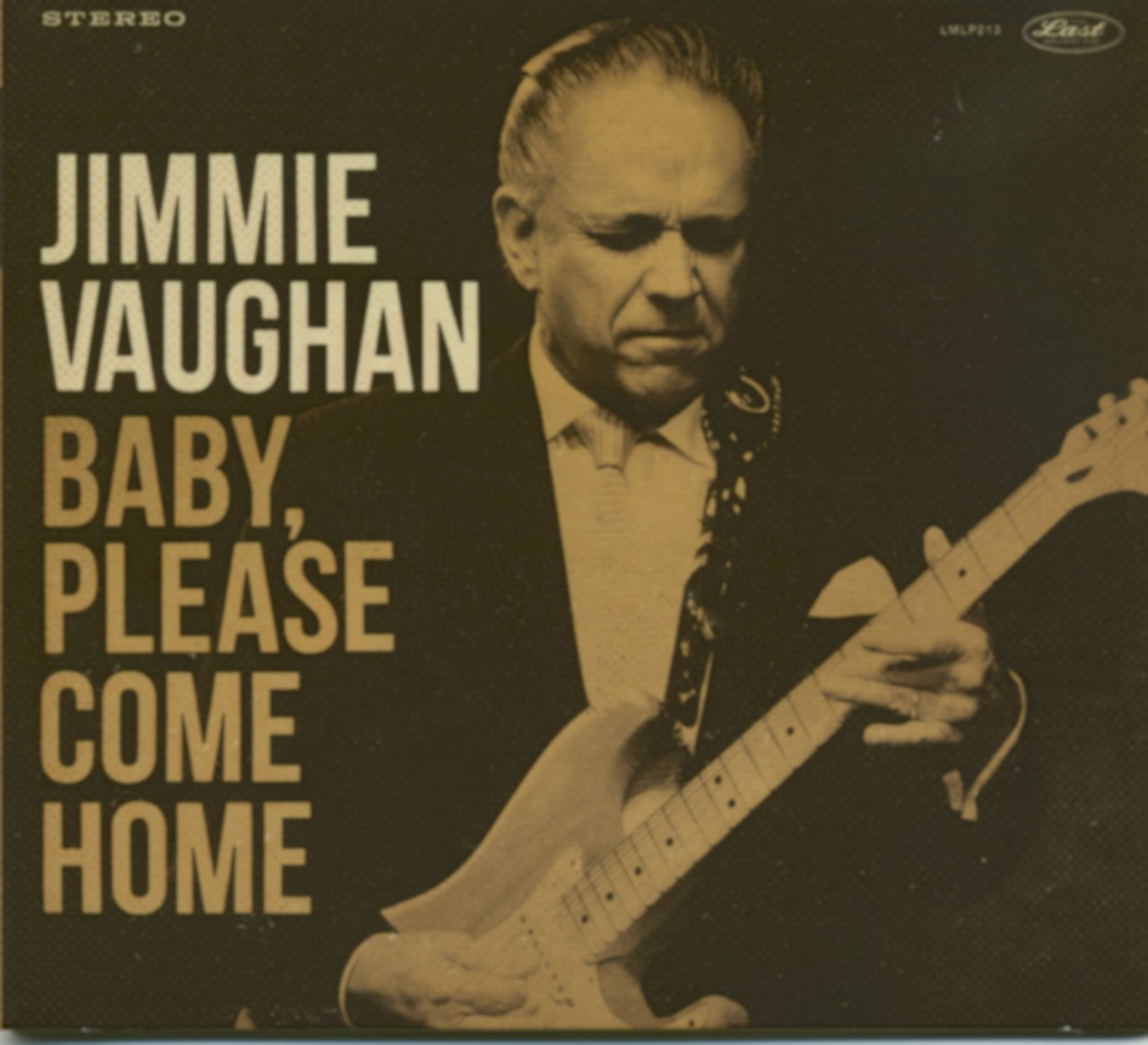 Bild von Jimmie Vaughan - Baby, Please Come Home (CD)
