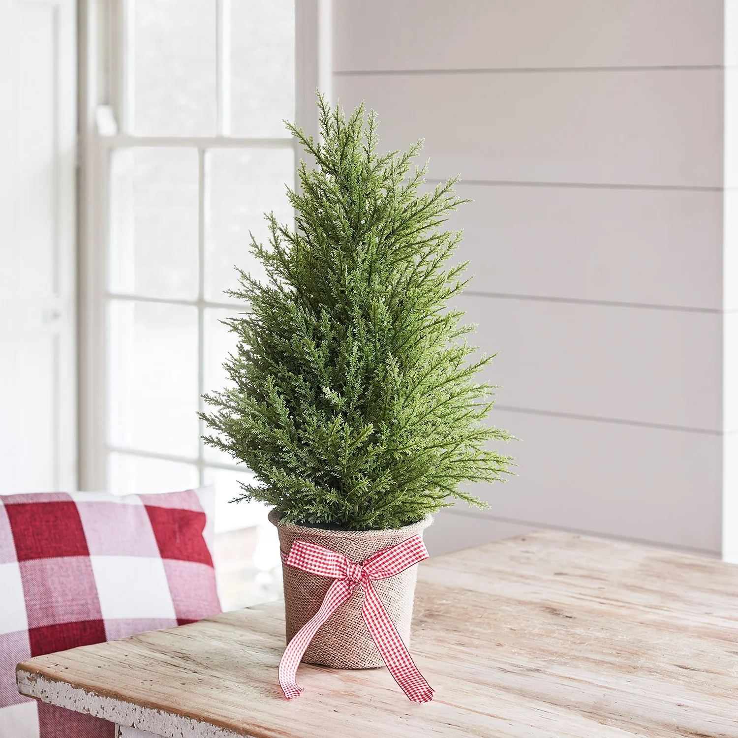 Bild von 55cm Mini Weihnachtsbaum Tanne
