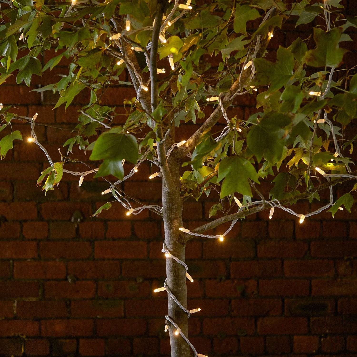 Bild von Pro Connect 145m 1450er LED Lichterkette gold warmweiß koppelbar weißes Kabel