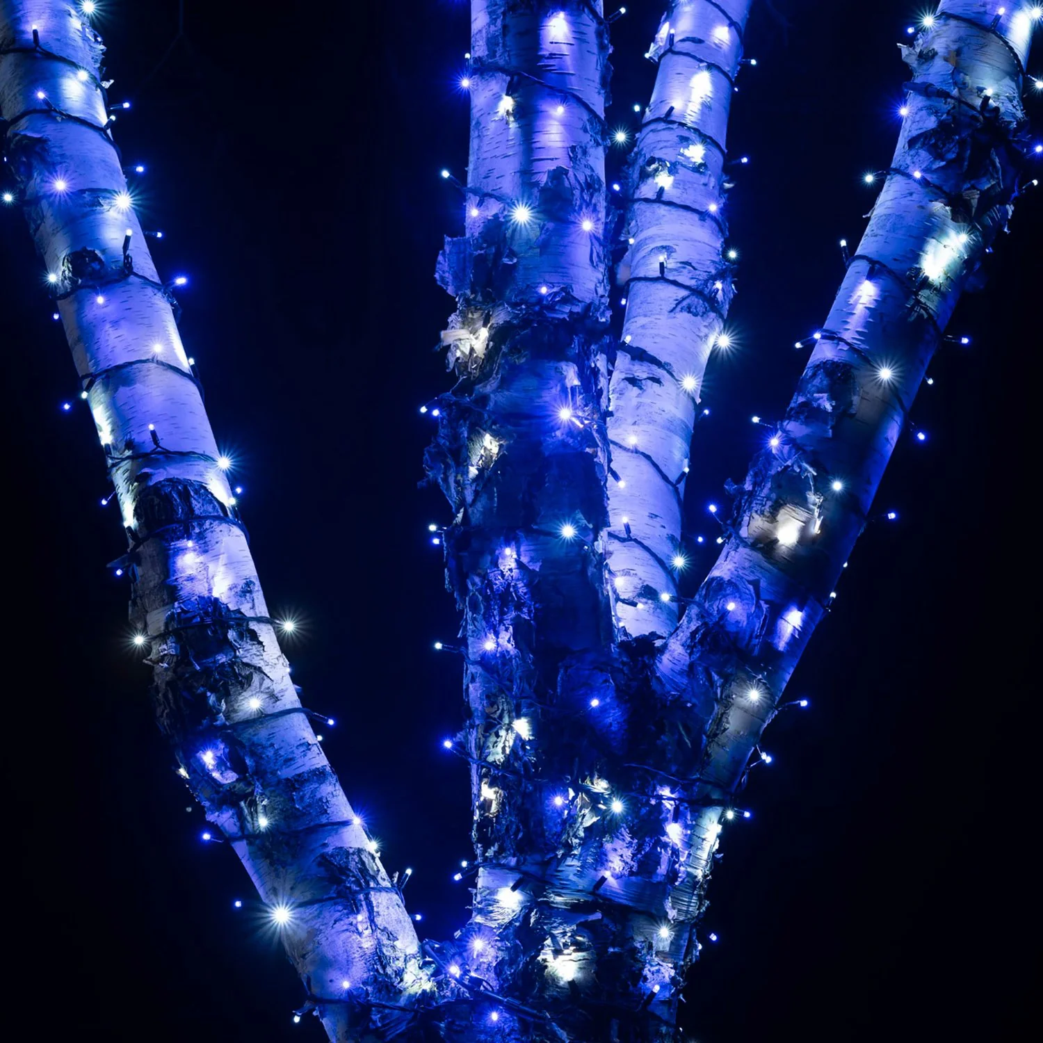 Bild von Pro Connect 195m 1950er LED Lichterkette blau weiß koppelbar schwarzes Kabel