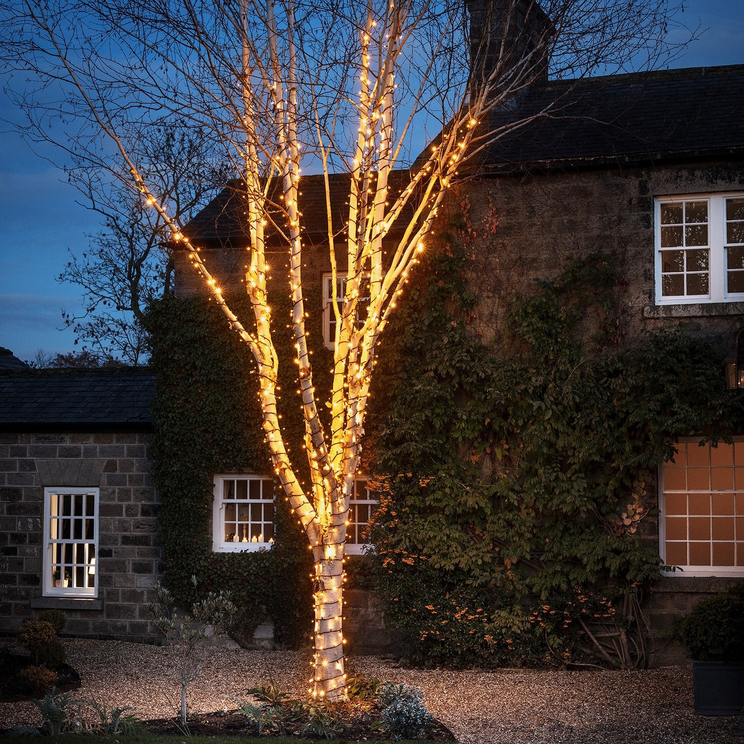 Bild von Pro Connect 195m 1950er LED Lichterkette gold warmweiß koppelbar schwarzes Kabel