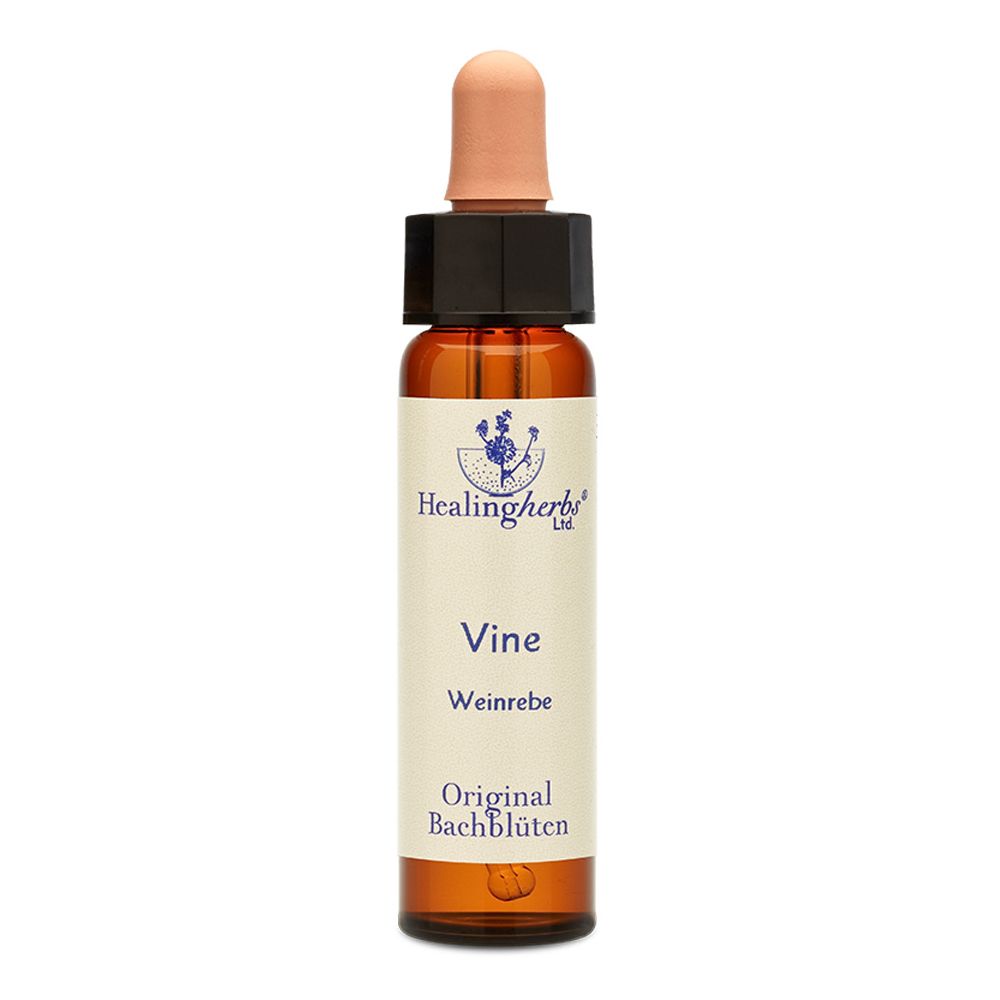 Bild von Healing Herbs Vine Original Bachblüten Tropfen