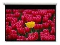 Bild von Optoma Panoview DE-9120EGA - Leinwand - motorisiert - 305 cm (120) - 16:9 - Matte White - für Optoma H117ST, H185X, H190X, HD28B, HZ40STx, UHD35, UHD35x, UHD38