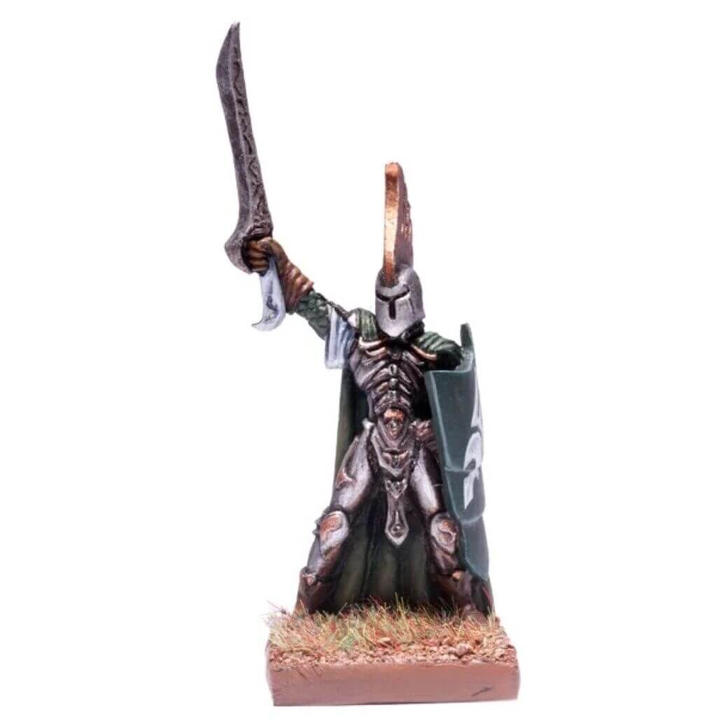 Bild von Elf Palace Guard Prince