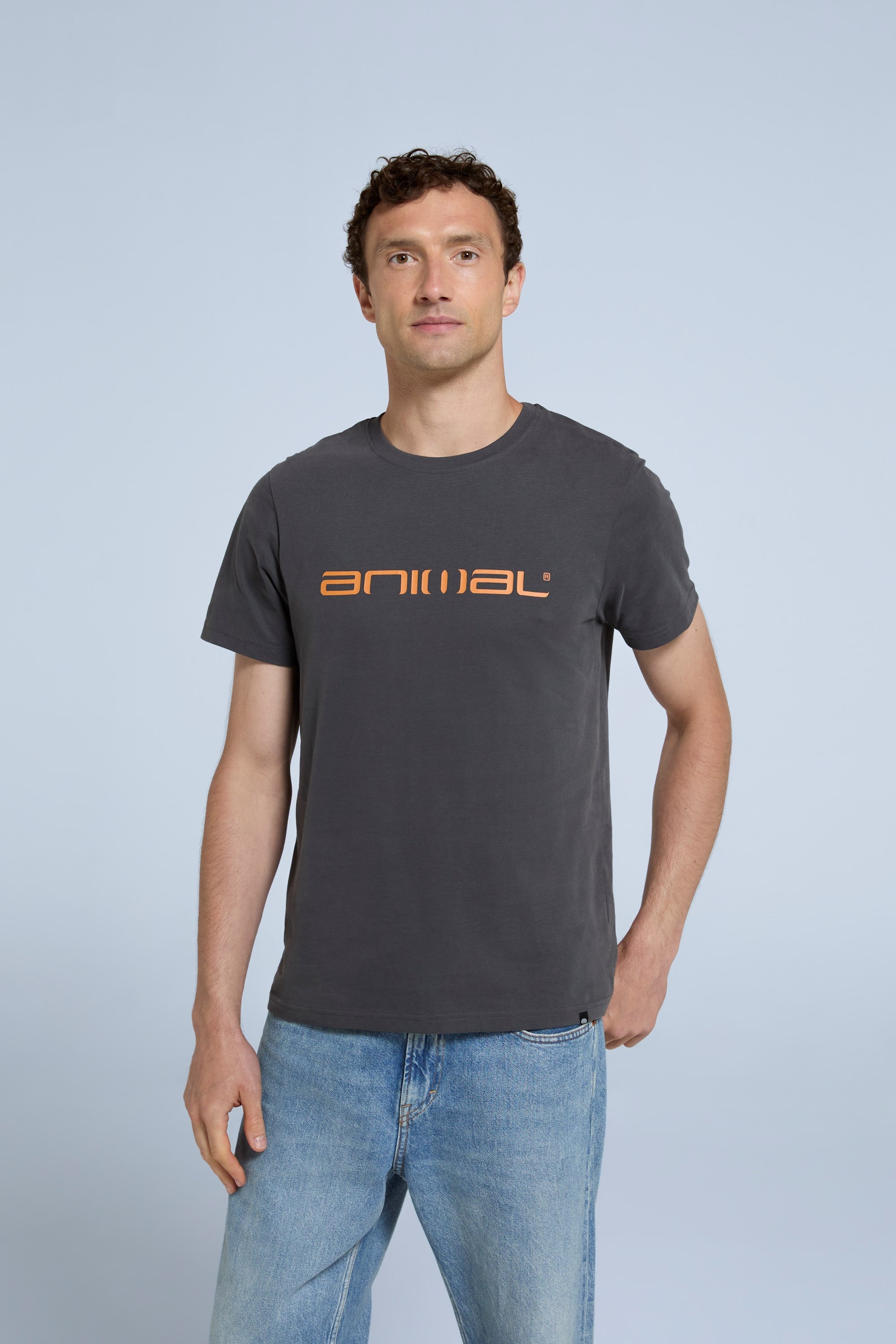 Bild von Classico Herren T-Shirt - Grau