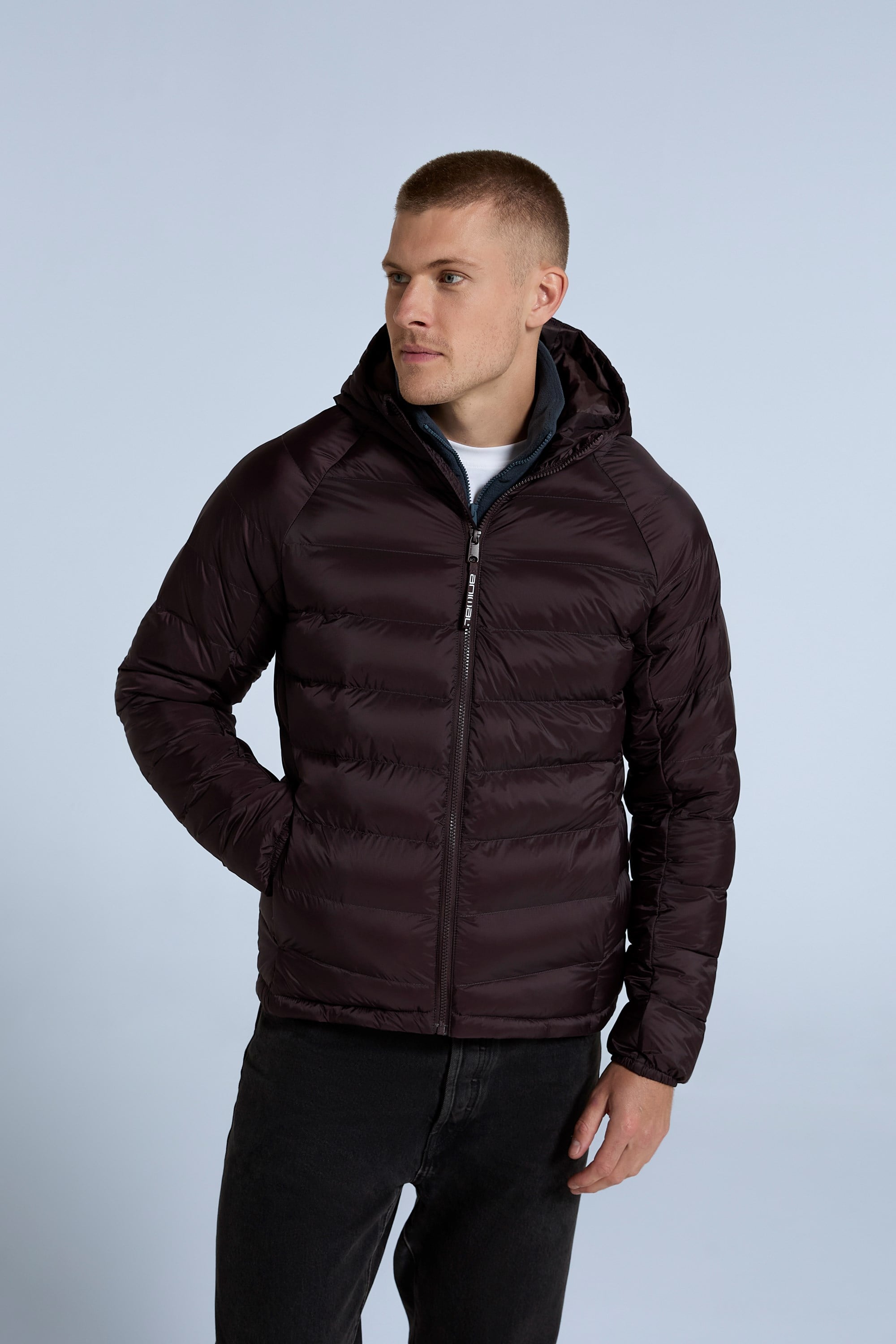 Bild von Light Cloud Cosi Wattierte Herrenjacke - Dunkel Rot