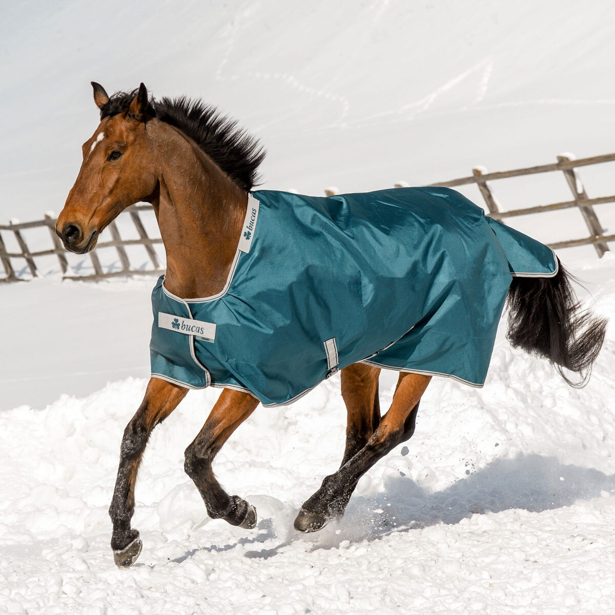 Bild von Bucas Weidedecke ATLANTIC TURNOUT 200g, green 140