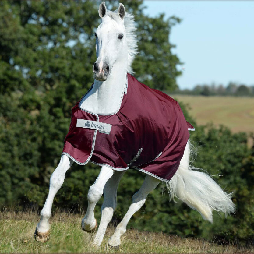 Bild von Bucas Pferde-Regendecke Bucas Atlantic Turnout Exclusive Light 0g