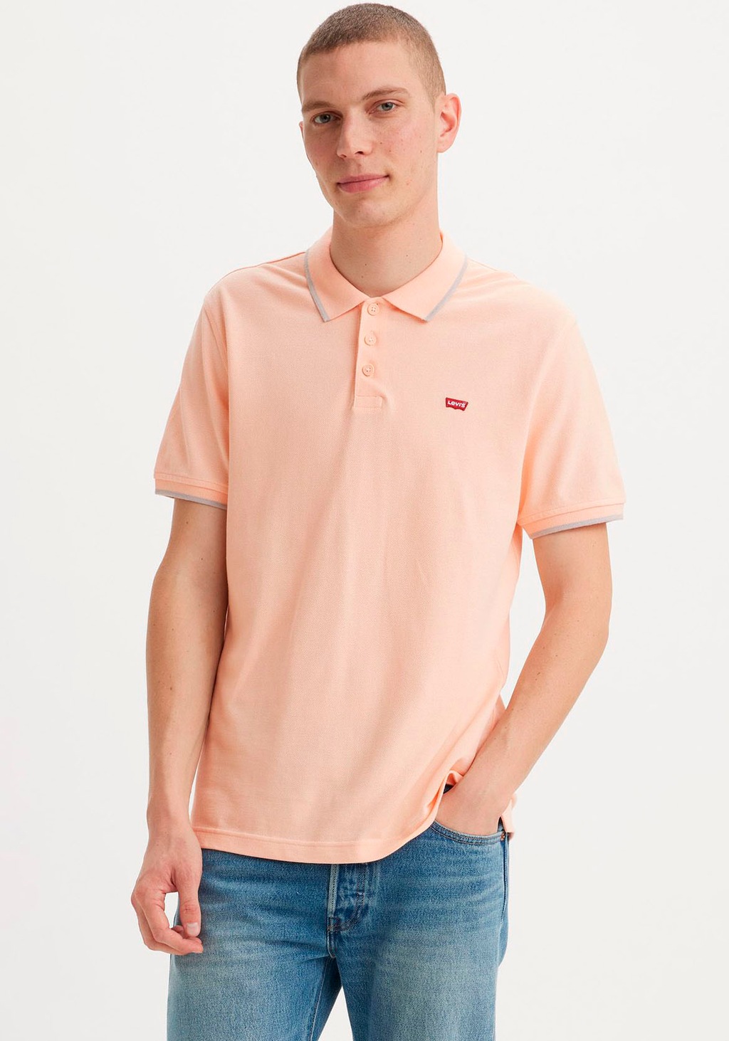 Bild von Levi's® Poloshirt »LE NEW LEVIS HM POLO«, mit kleinem Batwing-Logo