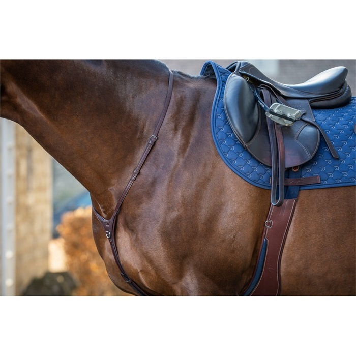 Bild von Dyon New English Collection Martingalriemen