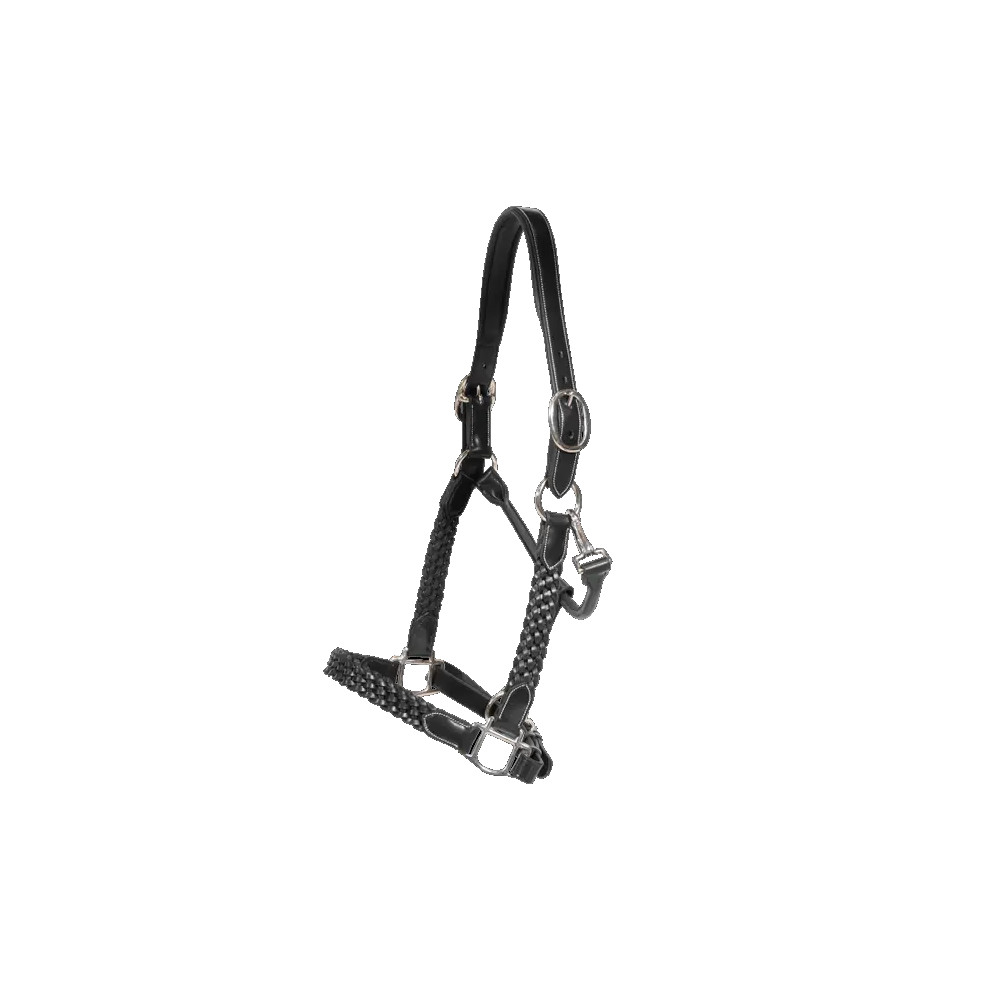 Bild von Dyon Plaited Halfter