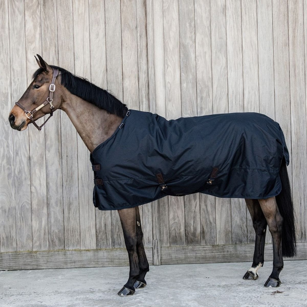 Bild von Kentucky Horsewear Winterdecke ALL WEATHER WATERPROOF CLASSIC 300g...