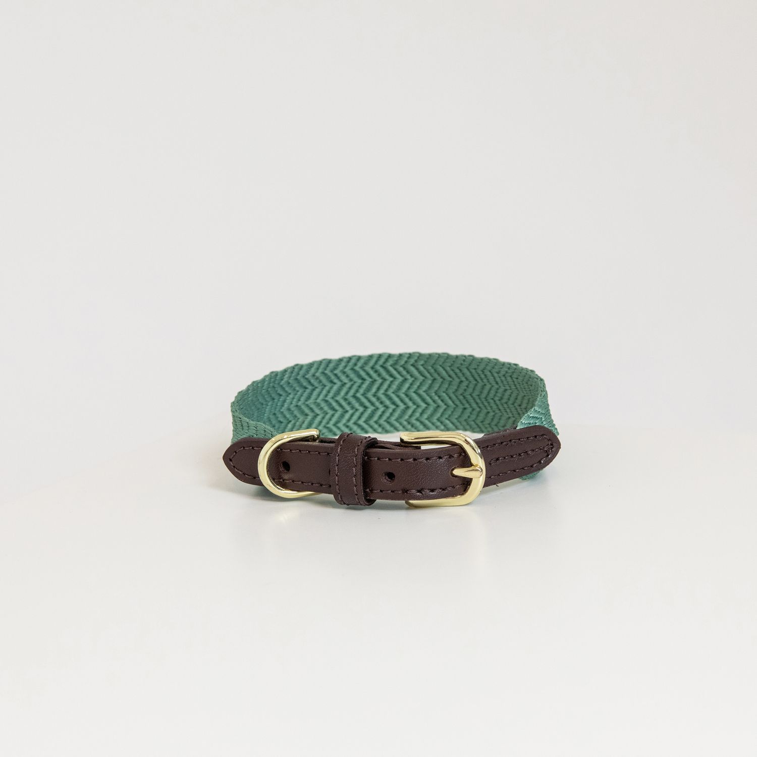 Bild von Kentucky Dogwear Hundehalsband JACQUARD neon orange XL