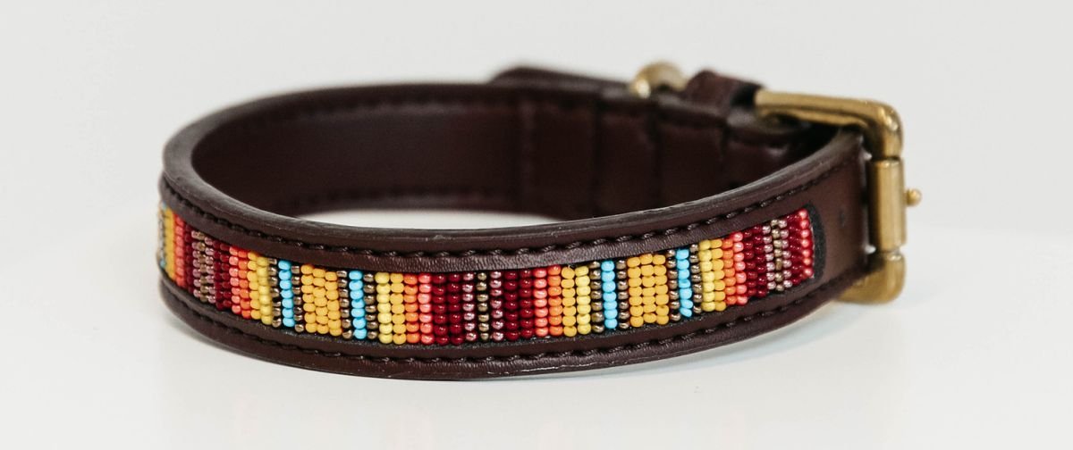 Bild von Kentucky Dogwear handgemachtes Hundehalsband PEARLS orange L