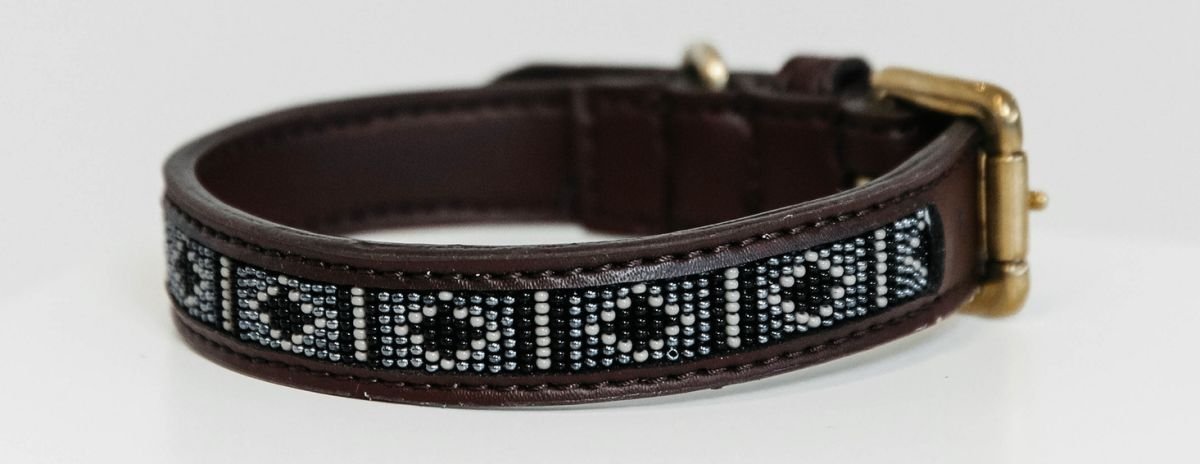 Bild von Kentucky Dogwear handgemachtes Hundehalsband PEARLS silber XS